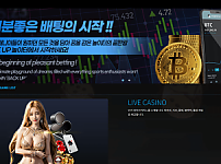 백업카지노